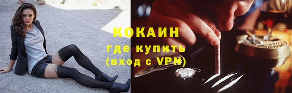 дживик Абинск