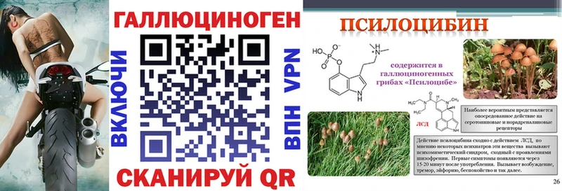 Псилоцибиновые грибы Psilocybe  Абинск 